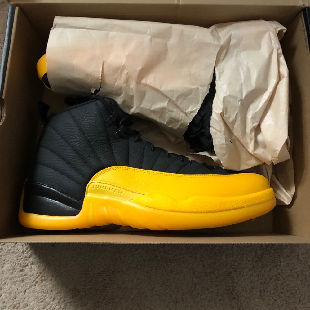 Air Jordan 12 retro